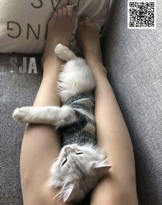 亚欧成人毛片一区二区三区四区_国产剧BD在线观看